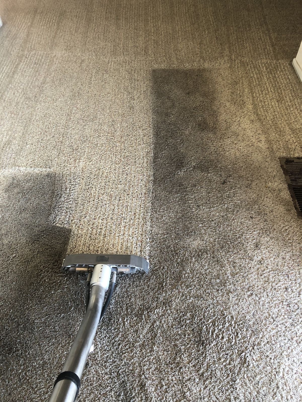Carpet deep clean in progress