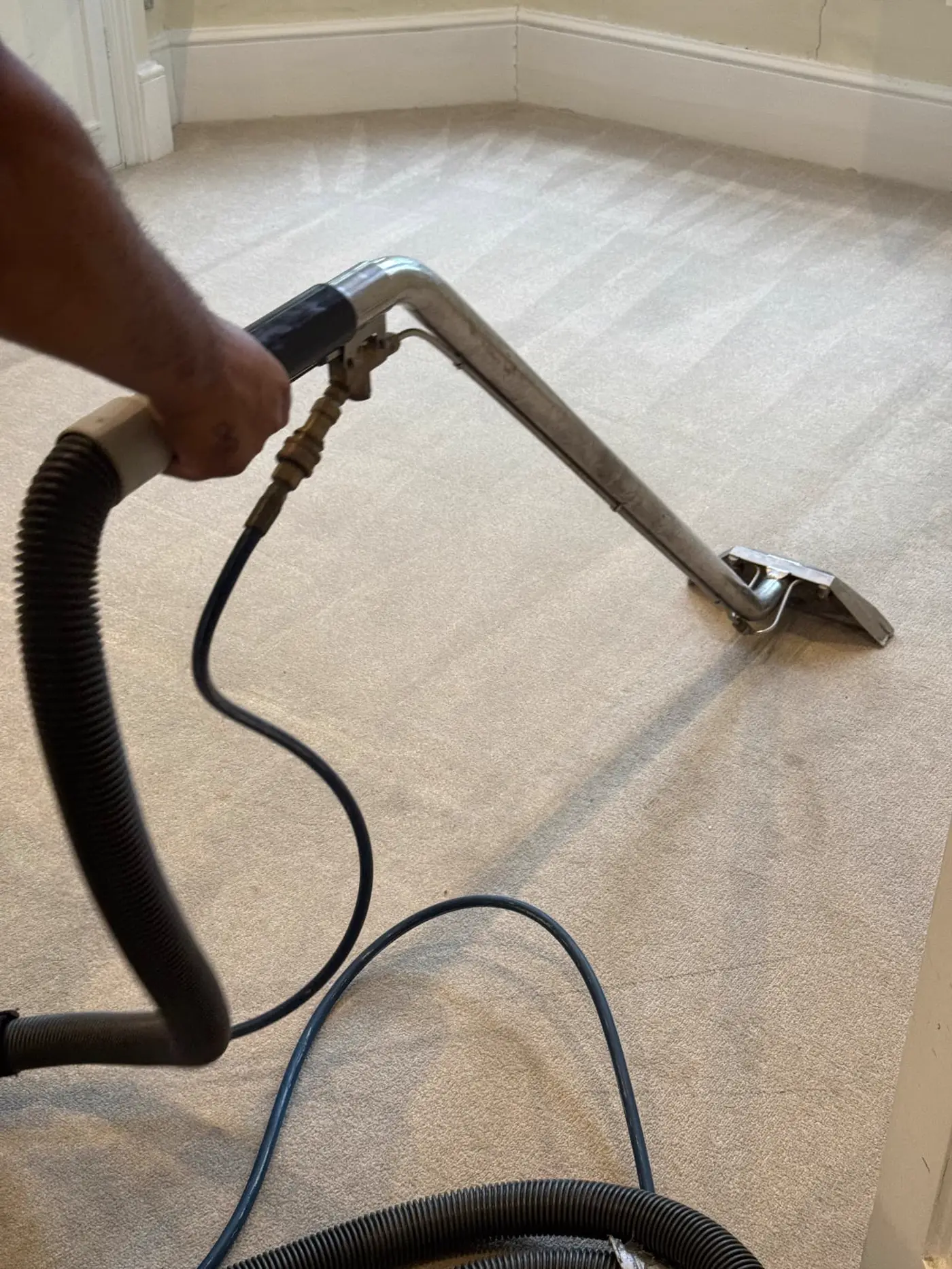 Carpet Cleaning
