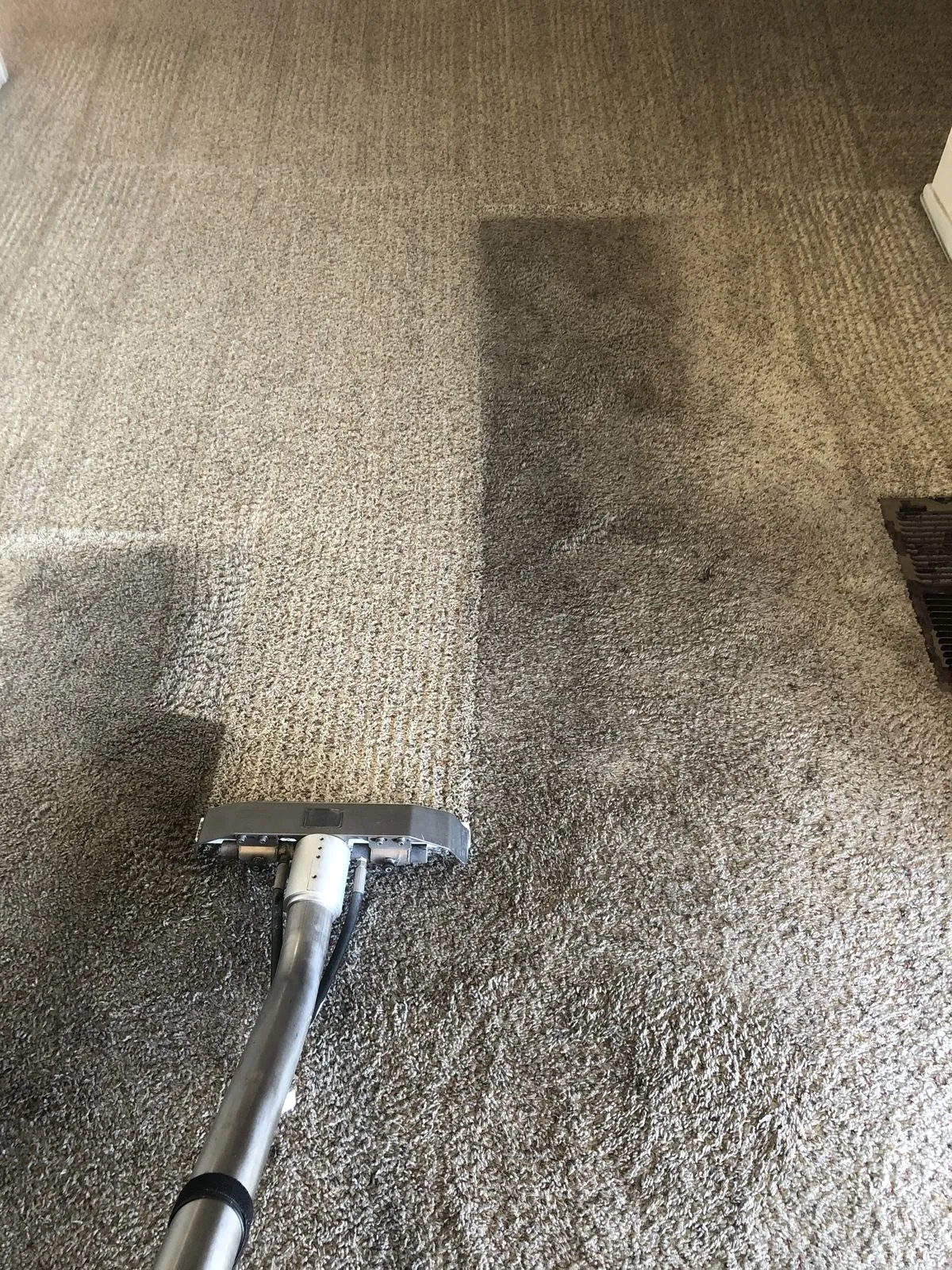 Carpet deep clean in progress